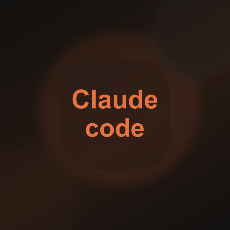 Claude Code API